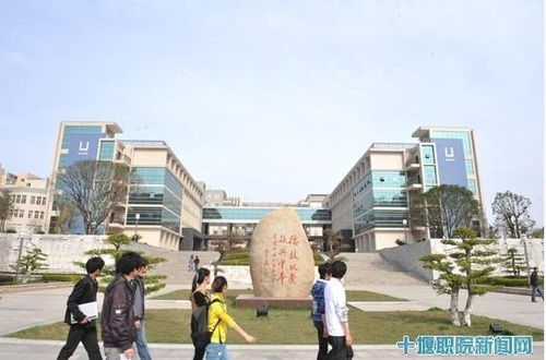 郊区电子商务专业学校