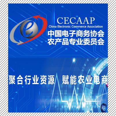中国最早的电子商务专业