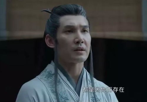 《藏海传》铁面人到底是谁