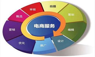 河北电子商务专业单招