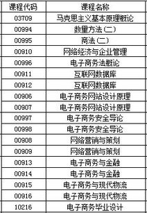 电子商务是纯文科专业吗